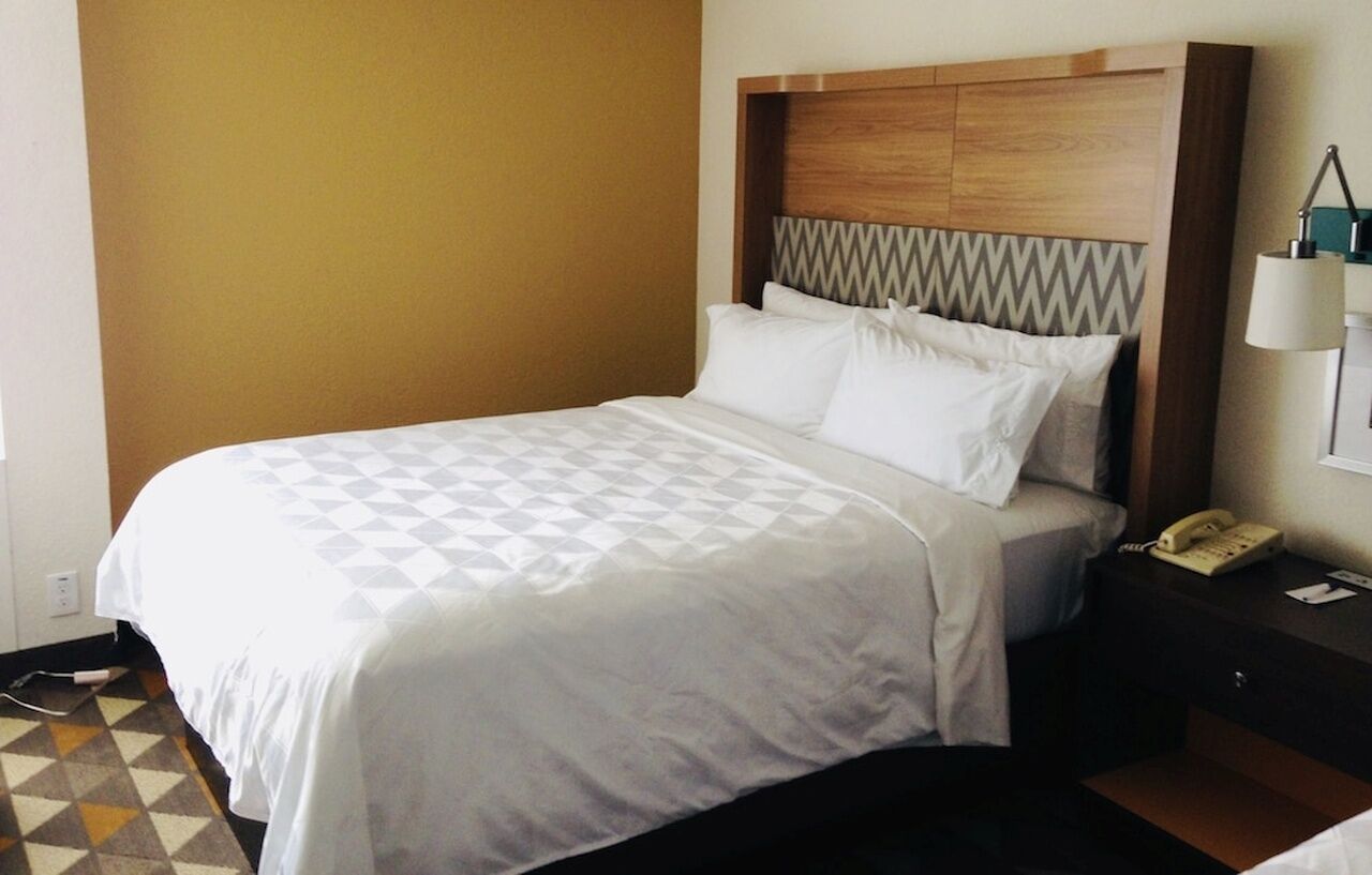 Holiday Inn & Suites Pittsfield-Berkshires By Ihg Ngoại thất bức ảnh